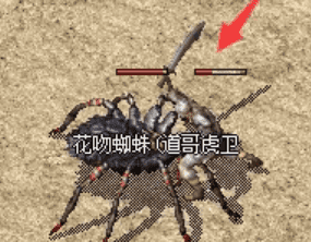 第一次玩传奇该从哪开始？职业怎么选、前三天做什么，一次问清楚